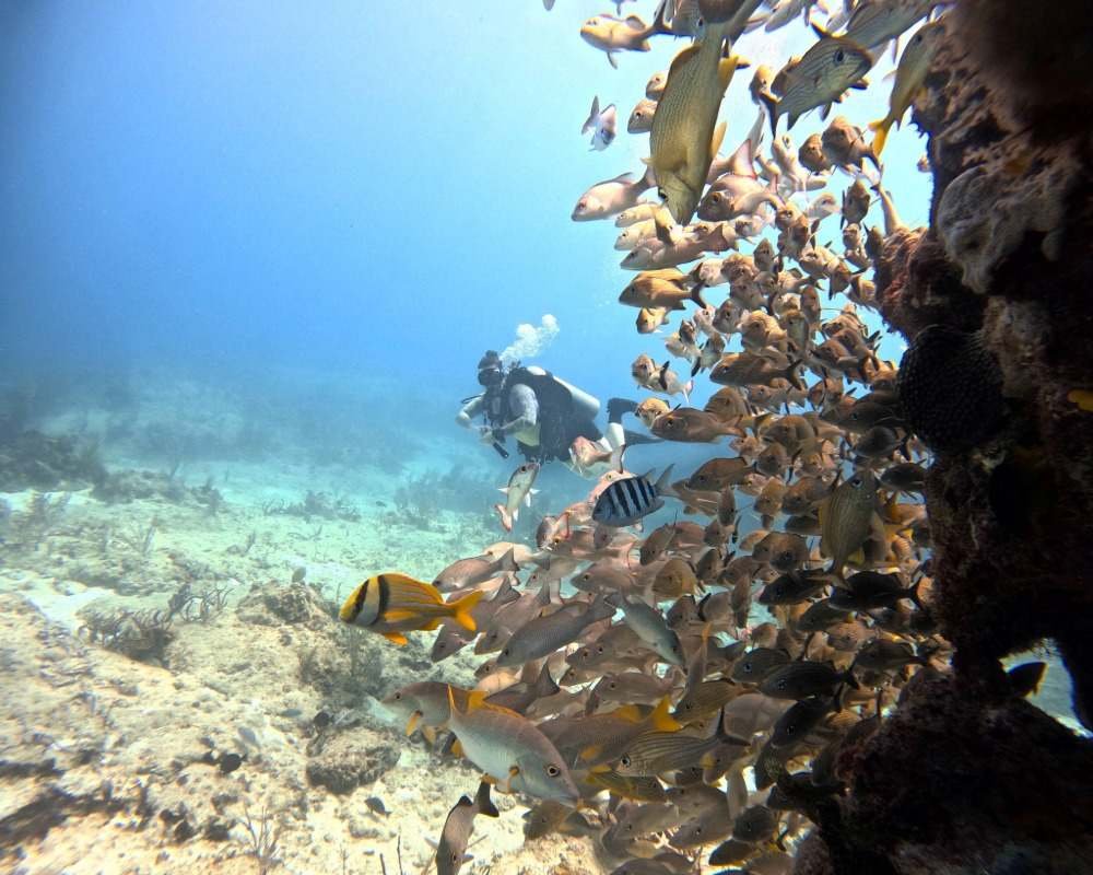 Sin título (2) copy 16