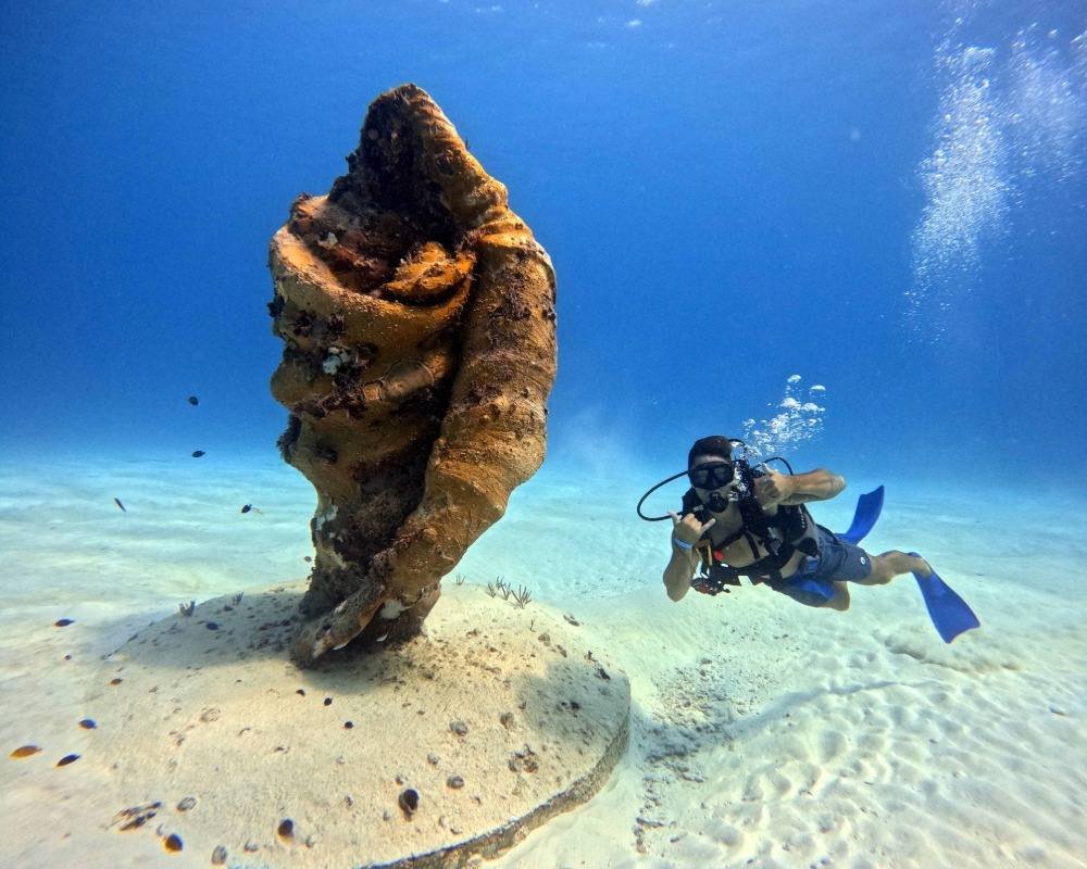 Sin título (2) copy 2