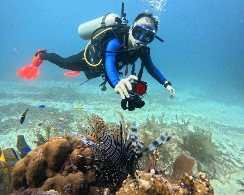 Services Photo Slideshow Size (1)