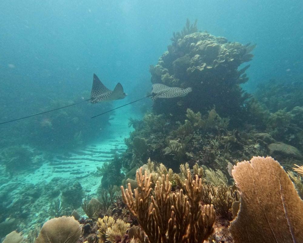 Services Photo Slideshow Size (1)