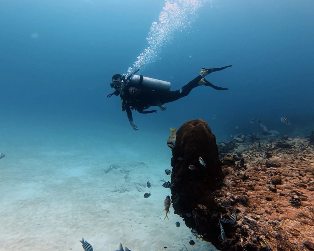 Services Photo Slideshow Size (10)