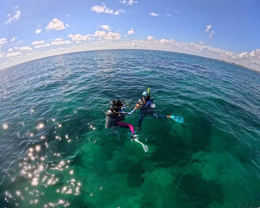 Services Photo Slideshow Size (12)