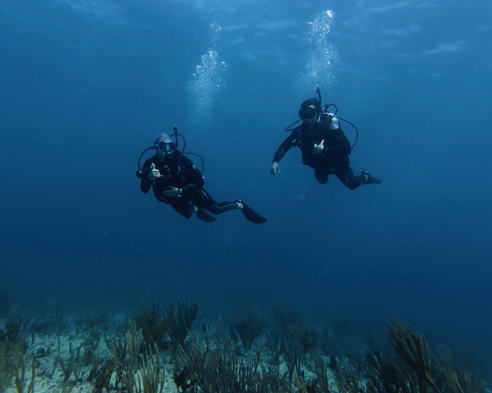 Services Photo Slideshow Size (15)