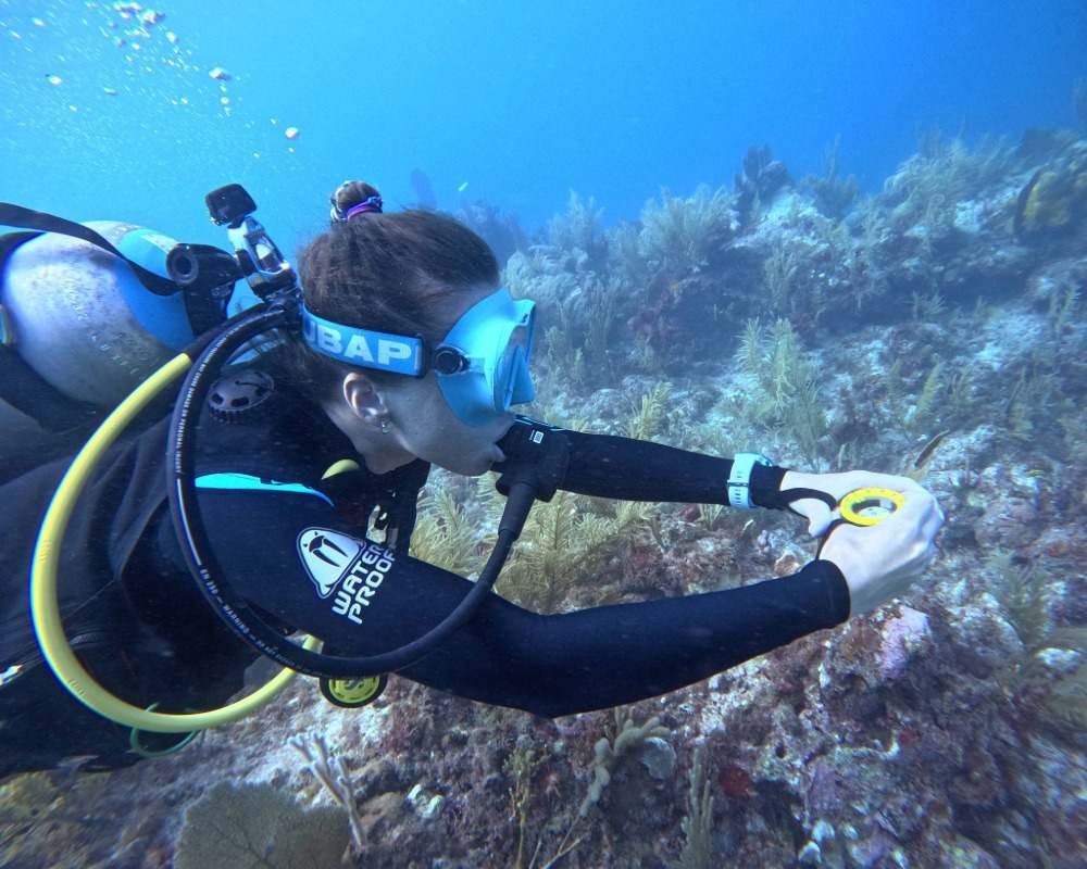 Services Photo Slideshow Size (2)