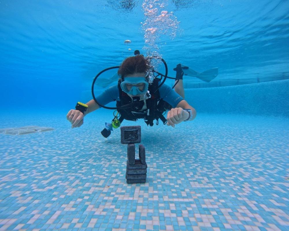 Services Photo Slideshow Size (2)