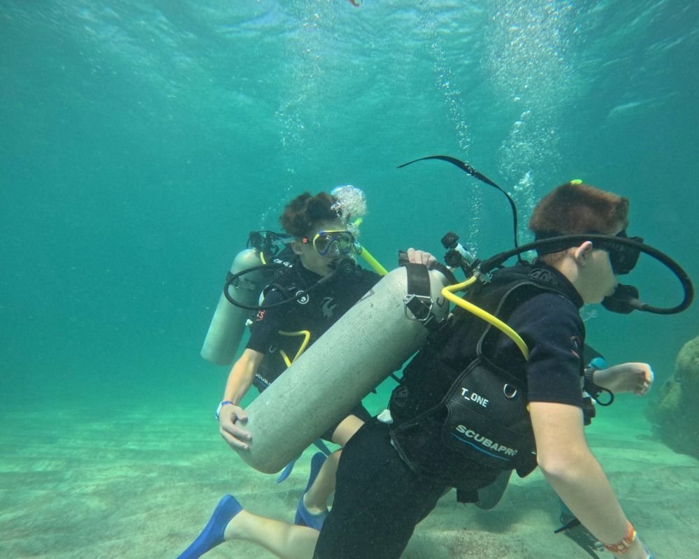 Services Photo Slideshow Size (3)