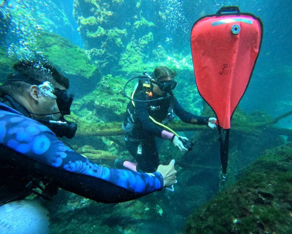 Services Photo Slideshow Size (4)