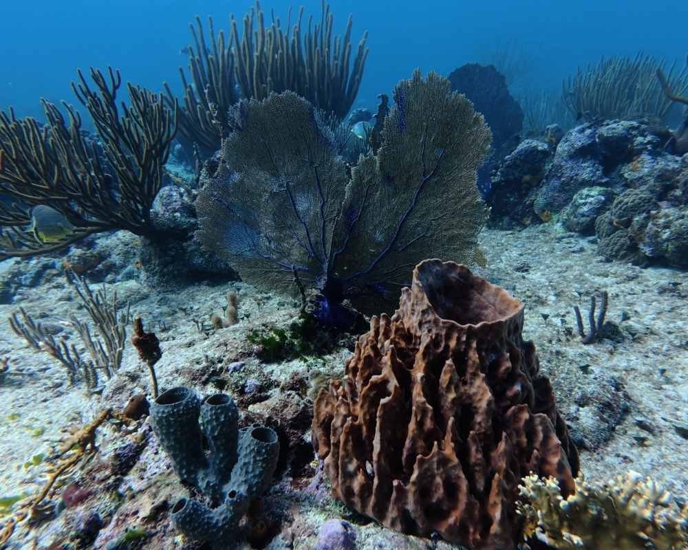 Services Photo Slideshow Size (5)