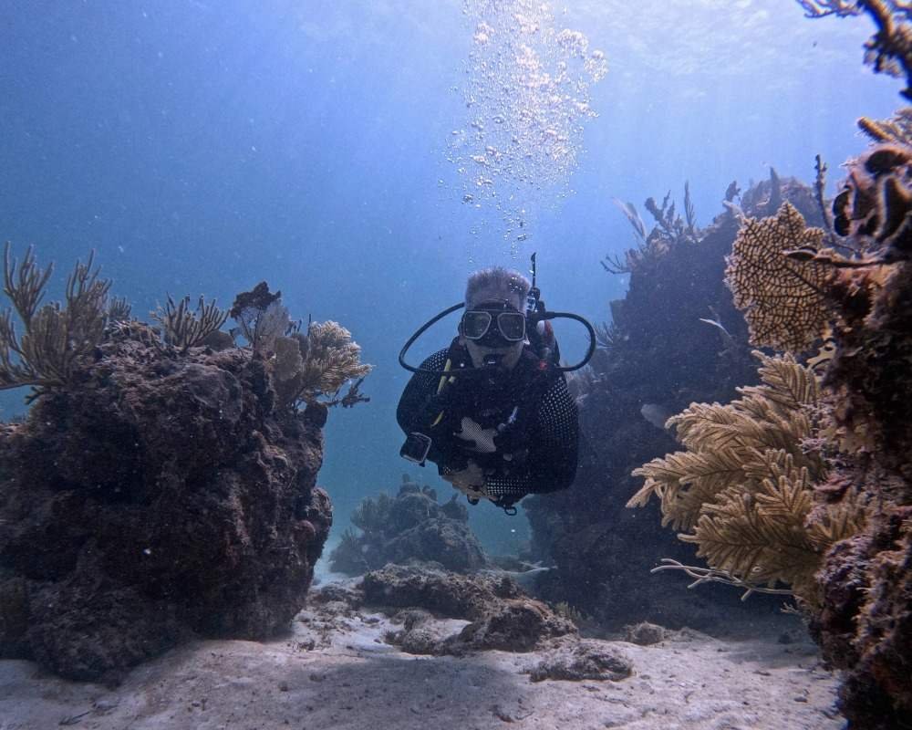 Services Photo Slideshow Size (6)