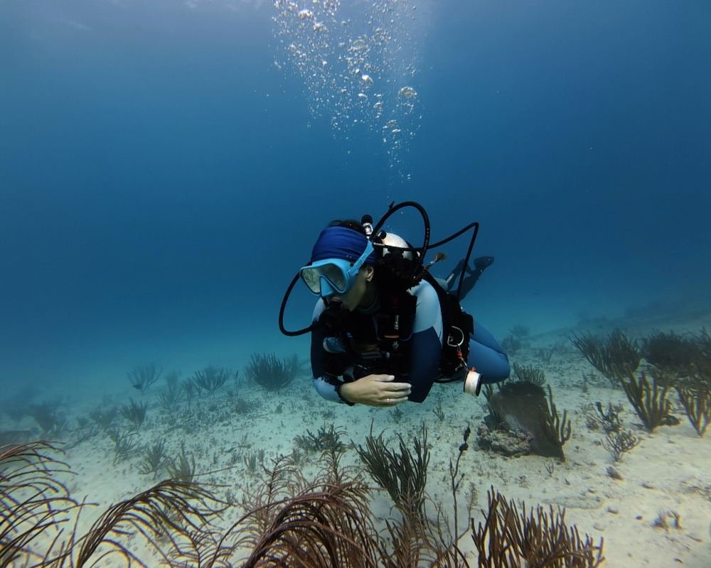 Services Photo Slideshow Size (7)