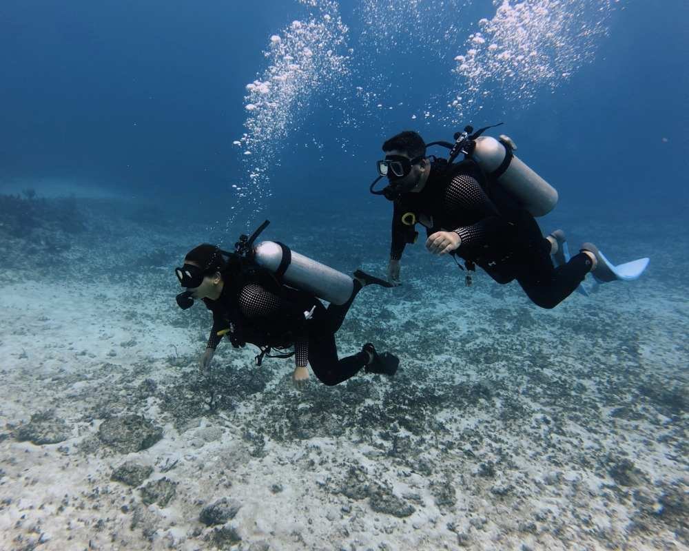 Services Photo Slideshow Size (7)