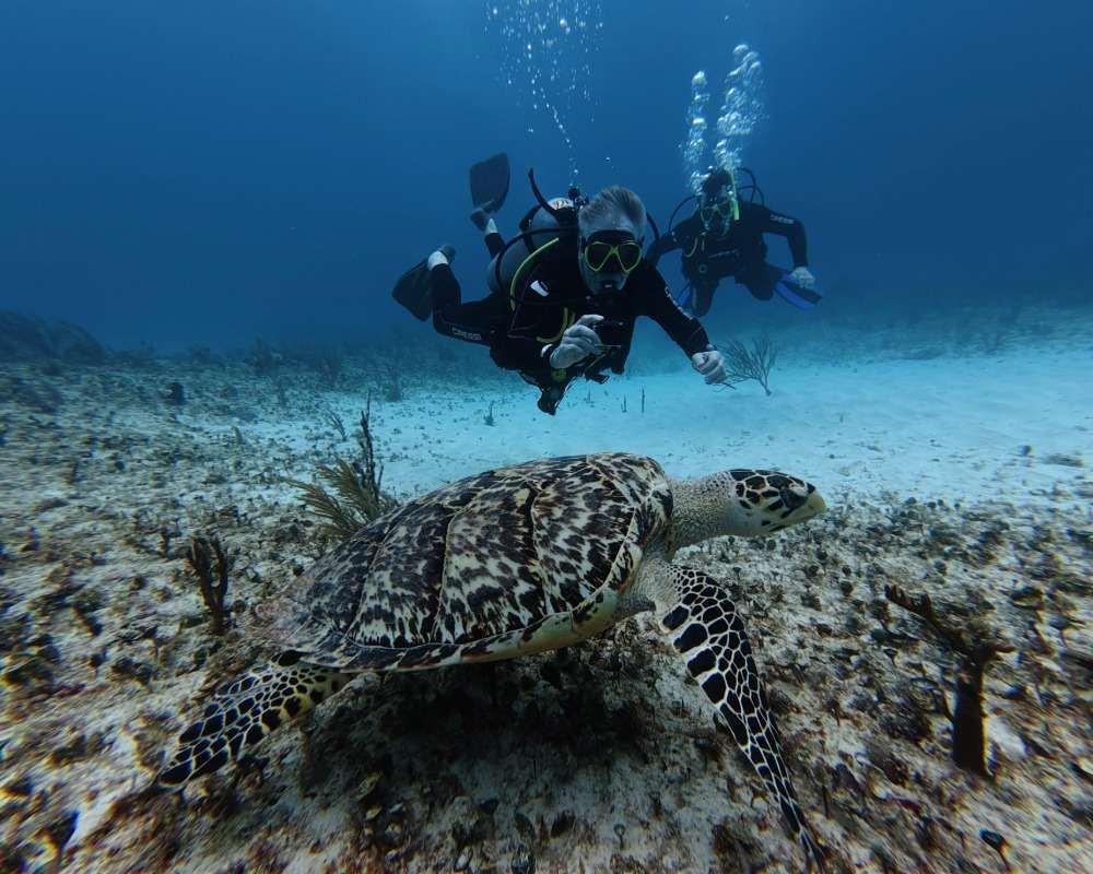 Services Photo Slideshow Size (8)