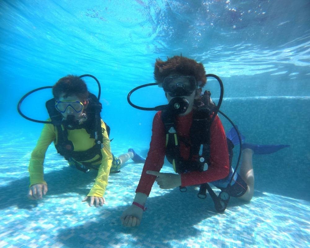 Services Photo Slideshow Size (8)