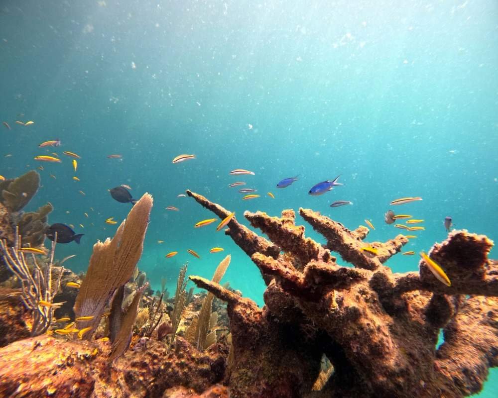 Services Photo Slideshow Size (8)