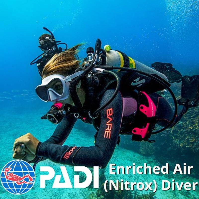 TABLET MOBILE GALLERY SIZE (4)